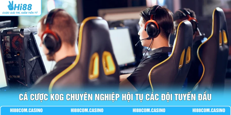 Cá Cược KOG Hi88 - 3 Kinh Nghiệm Chơi King Of Glory Chi Tiết 1 Cá cược KOG chuyên nghiệp hội tụ các đội tuyến đầu