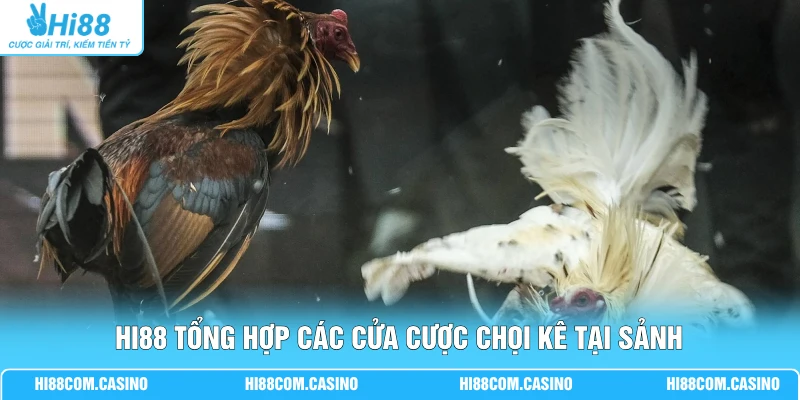 ODIN Đá Gà Sôi Động Cùng 36 Trận Đấu Mỗi Ngày Tại Hi88 3 Hi88 tổng hợp các cửa cược chọi kê tại sảnh
